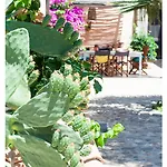 Is Scabas Guestrooms 5* Solarussa
