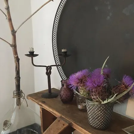 Is Scabas Guestrooms Konukevi Solarussa