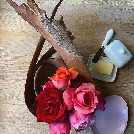 Is Scabas Guestrooms