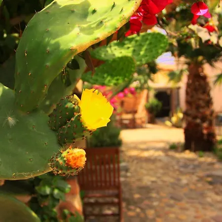 Is Scabas Guestrooms Гостевой дом Solarussa