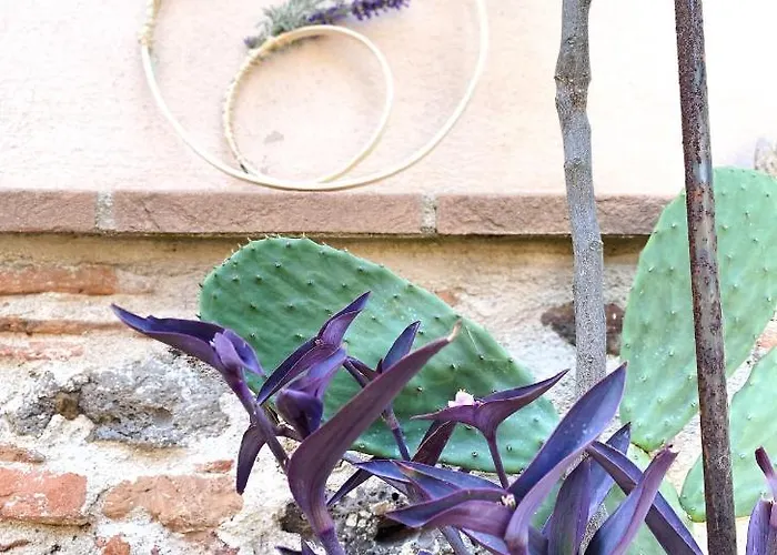 Is Scabas Guestrooms ゲストハウス 5*